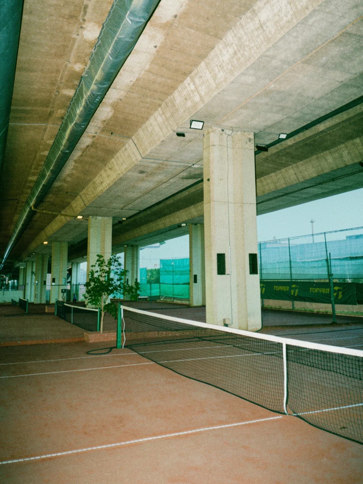 Central Tenis Coreano